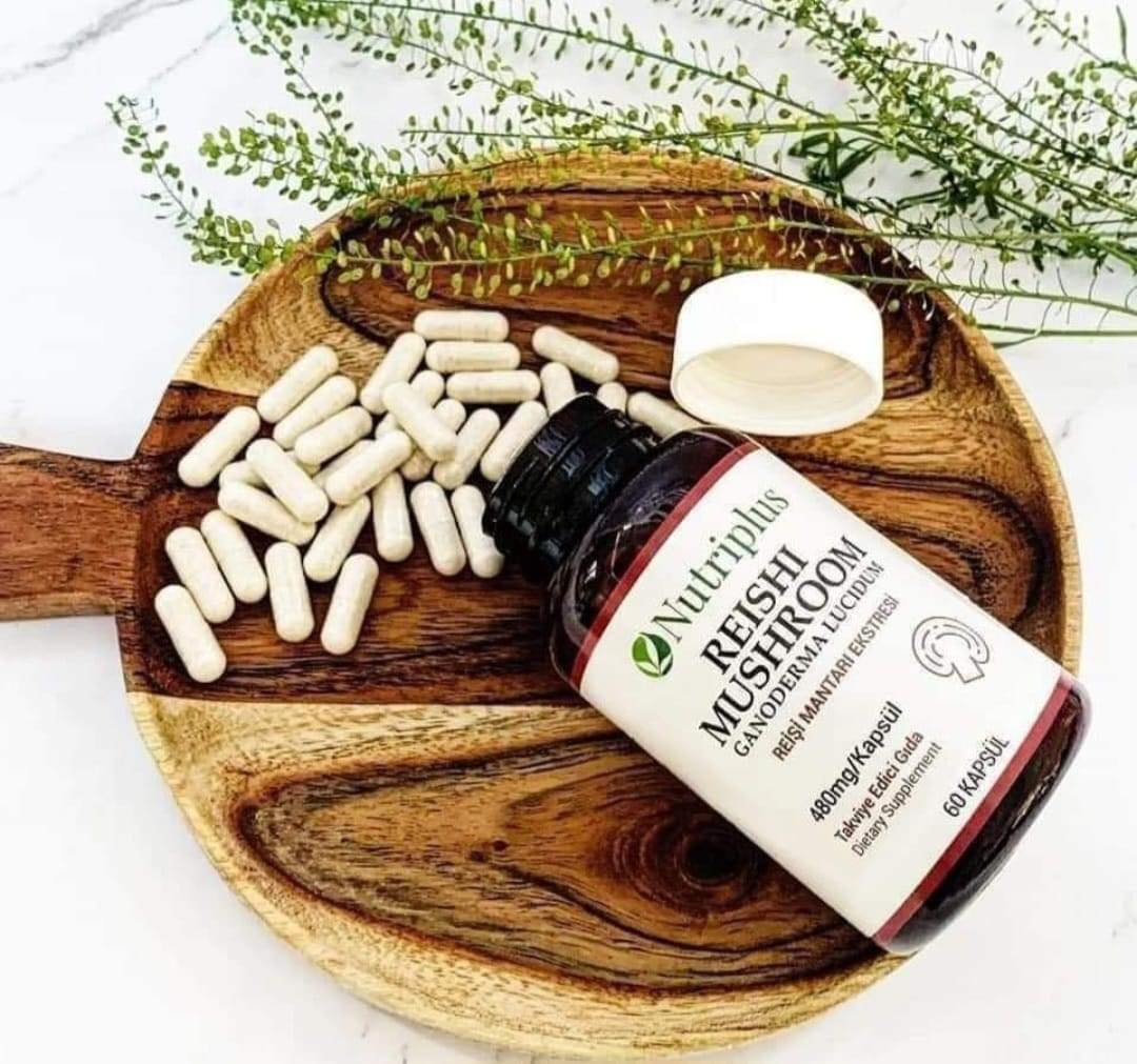 KORTING Nutriplus Reishi Paddenstoelen